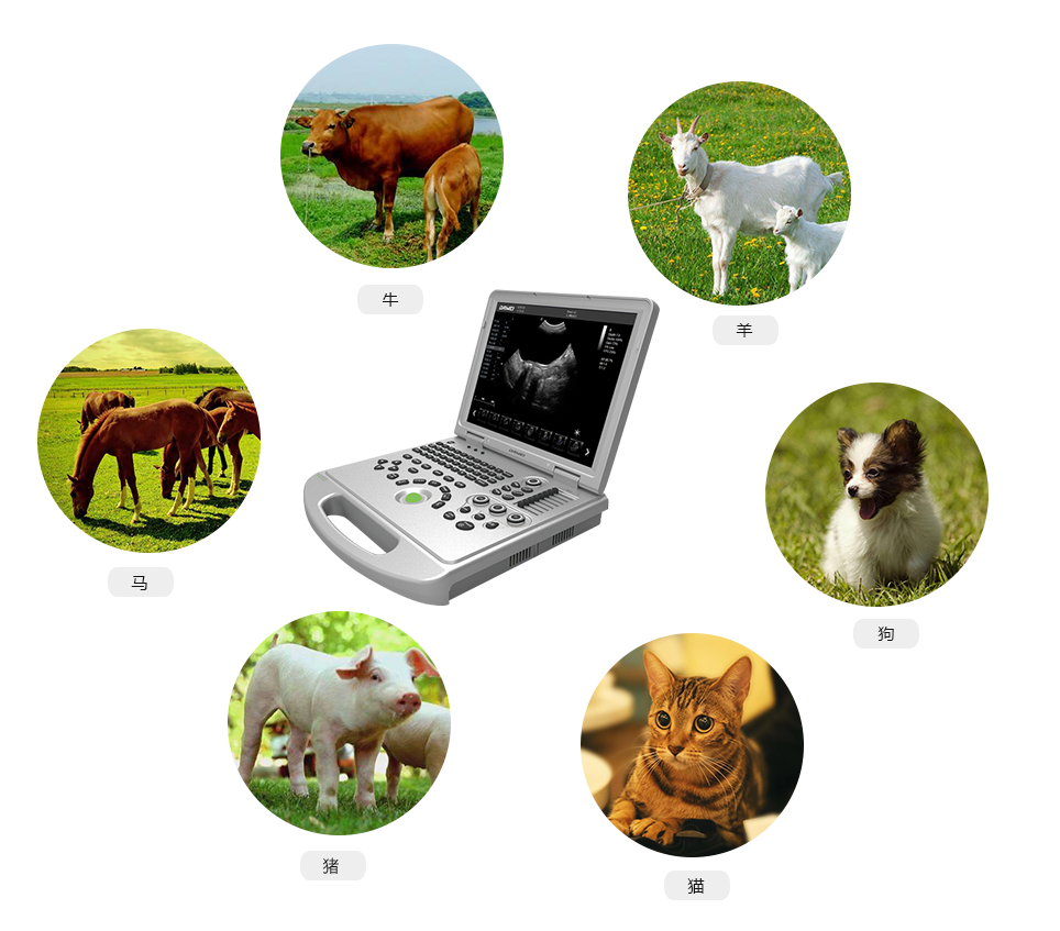 S8筆記本式獸用彩超機(jī)