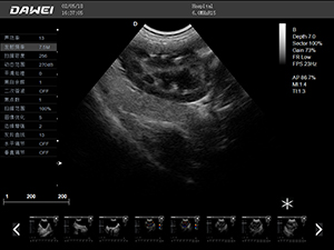 S9寵物b超機(jī)檢測(cè)圖