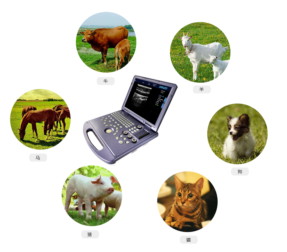 MU15筆記本式獸用彩超機(jī)