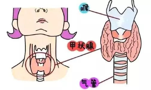 甲狀腺B超機(jī)超聲報(bào)告常見的六大問題